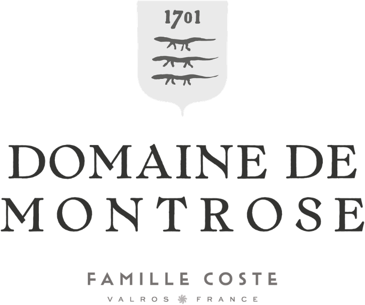 Logo Domaine de Montrose